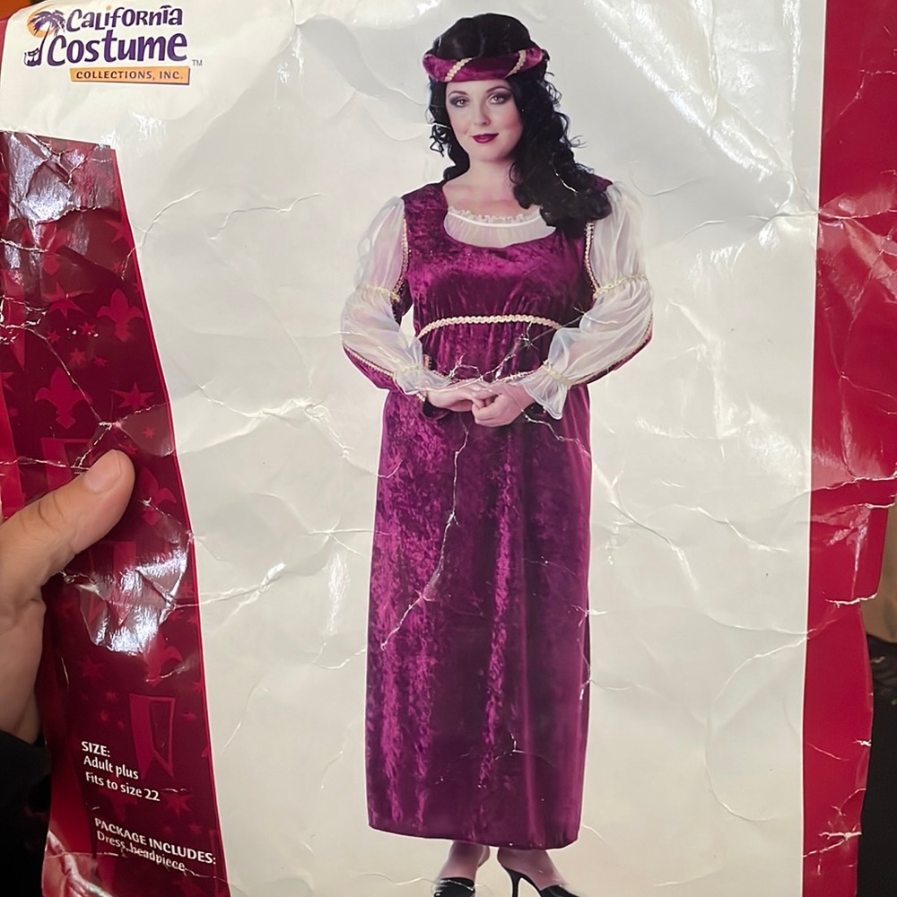 Caterina crushed velour renaissance costume